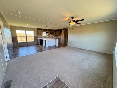 665 Painter Rd, Fall Branch, TN 37656 - photo 6