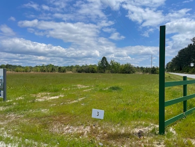 105 Rambling Ln, Cross, SC 29436 - photo 2