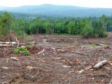 Panoramic of Views
