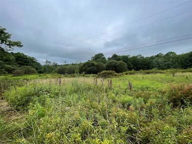 0 Basil Todd Rd, Middletown, NY 12430 - photo 4