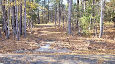 3082 State Road S-30-82, Laurens, SC 29360 - photo 3