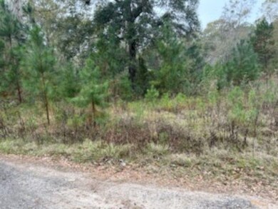 0 Moccasin Gap Rd unit 393441, Tallahassee, FL 32309 - photo 6