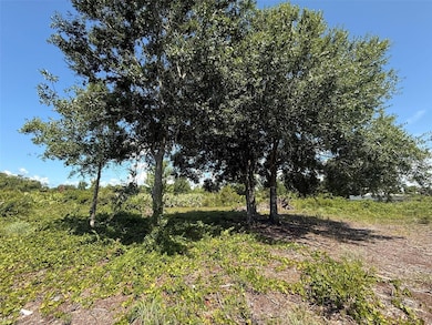 15789 NW 254th St, Okeechobee, FL 34972 - photo 4