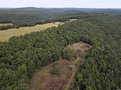 5463 Lo Gap Rd, Clinton, AR 72031 - photo 6