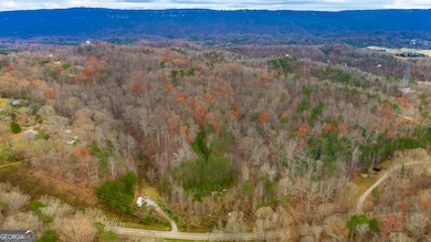 0 Slygo Rd unit 10409260, Wildwood, GA 30757 - photo 7