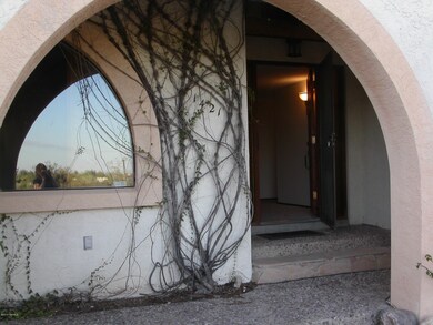 Orange Grove 2010 010