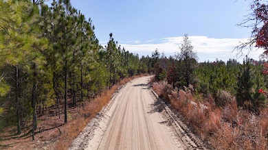 0 Beaver Dam Rd unit 25031385, Cassatt, SC 29032 - photo 3