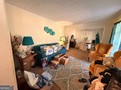 153 Highway 85 Connector, Brooks, GA 30205 - photo 4