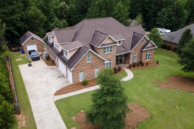 Drone View