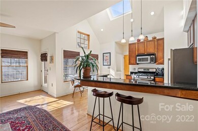 18 Brook St unit 203, Asheville, NC 28803 - photo 4