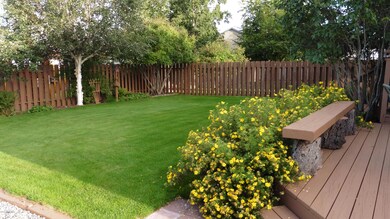 Fenced back yard