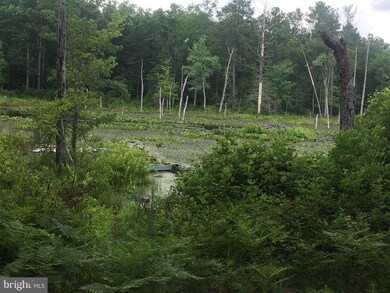 7526 Leedstown Rd, Colonial Beach, VA 22443 - photo 7