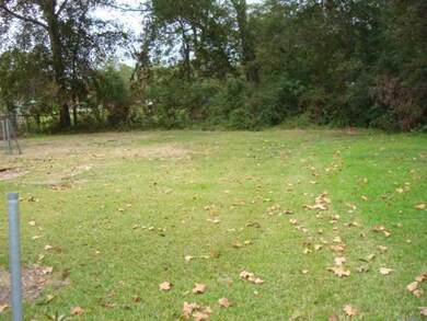 View. back yard