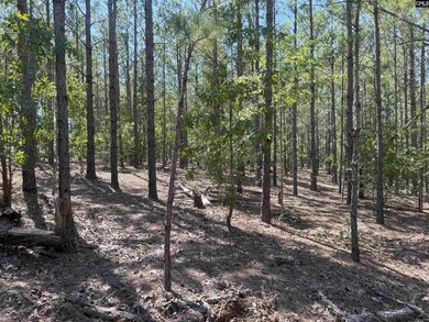 KF 2 State Road S-28-354 unit KF 2, Kershaw, SC 29067 - photo 5