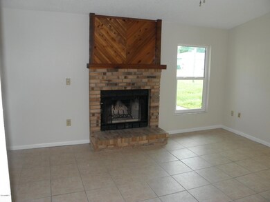 Wood burning fireplace