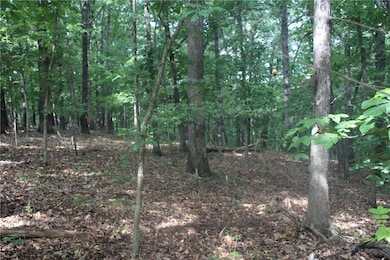 298 E Fox Creek Rd, Flint Creek, OK 74347 - photo 2