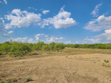 1408 Saguaro Trail, Joshua, TX 76058 - photo 6