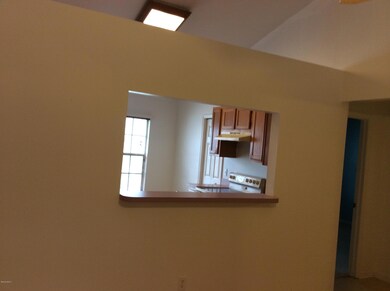 photo 3(1)