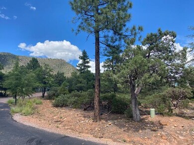 108 W Ruin Hill Loop, Pine, AZ 85544 - photo 2