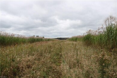 4156 State Route 167, Jefferson, OH 44047 - photo 5