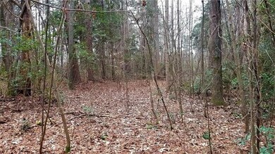 28.61 acre unrestricted wooded tract