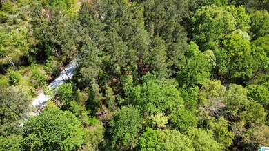 0 Lake Geneva Dr unit 25 21415570, Wedowee, AL 36278 - photo 7