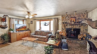 183 Bartimous Rd, Bailey, CO 80421 - photo 5