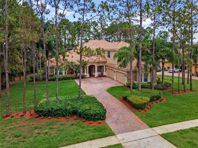 Treed oversized lot