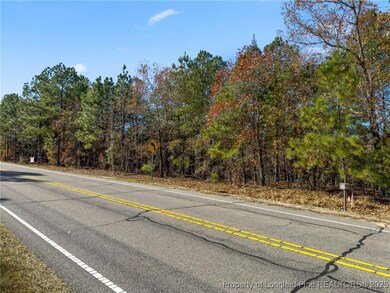 2746 Union Church Rd, Carthage, NC 28327 - photo 4