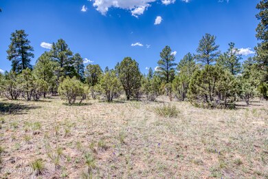 paxmanphotography_PAX_0329