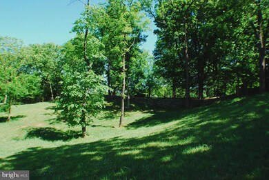 109 Launchris Dr, Winchester, VA 22602 - photo 5