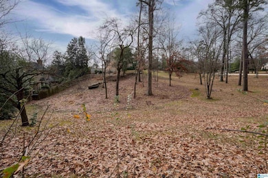 1705 Somerset Cir, Mountain Brook, AL 35213 - photo 3