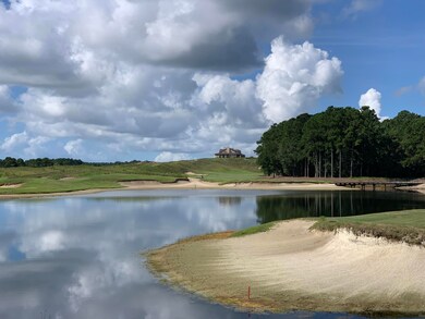 855 Bulls Bay Blvd, Mount Pleasant, SC 29429 - photo 2