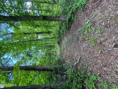 IMG_4655