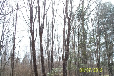 Hardwoods and evergreen
