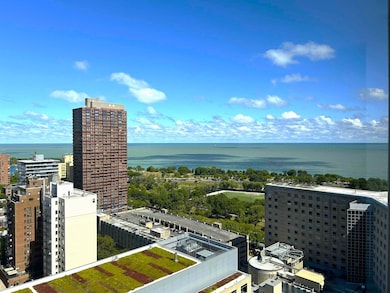 Commonwealth Plaza Condominium unit 2718, Chicago, IL 60657 - photo 7