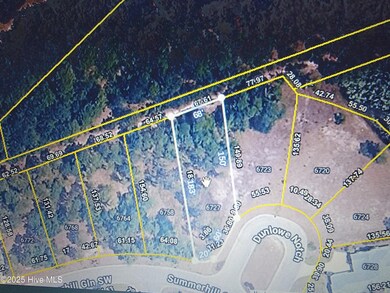 6727 Dunlowe Notch SW, Ocean Isle Beach, NC 28469 - photo 5