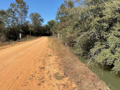 3200 Alabama 10, Brundidge, AL 36010 - photo 5