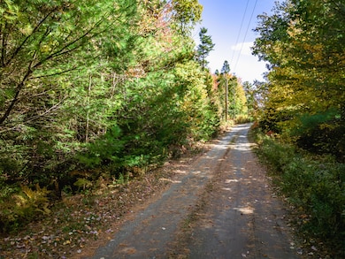 DJI_20241011114238_0597_D-Enhanced-NR (2