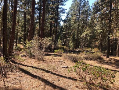 0 Kodiak Ln unit lot 500 220132728, Bonanza, OR 97623 - photo 2