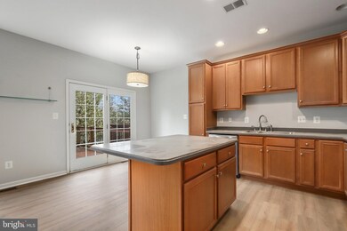 804 Maple Flats Terrace, Purcellville, VA 20132 - photo 6