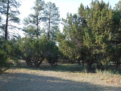 DSCF0807