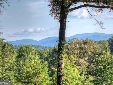 275 Autumn Ridge Dr, Mineral Bluff, GA 30559 - photo 3