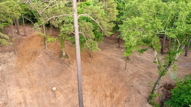 tbd E Pliler Precise Rd, Longview, TX 75605 - photo 5