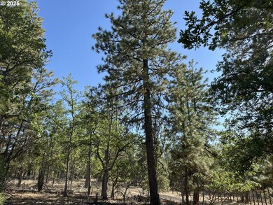 0 Hope Grove unit 430872245, Goldendale, WA 98620 - photo 7