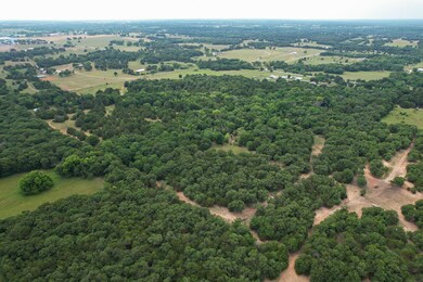 1309 County Road 109, Whitesboro, TX 76273 - photo 5