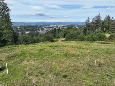 0 NW 389th St unit 24366944, Woodland, WA 98674 - photo 5