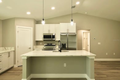 345 Malauka Loop, Ocklawaha, FL 32179 - photo 6