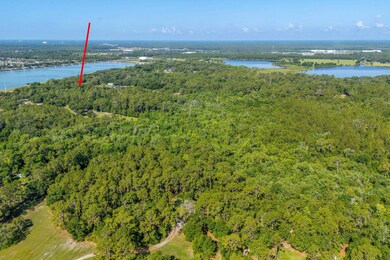 30647 Elam Rd, Wesley Chapel, FL 33545 - photo 6