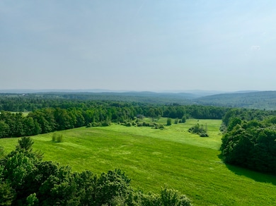 0 Hunt Rd, Hawley, MA 01339 - photo 3